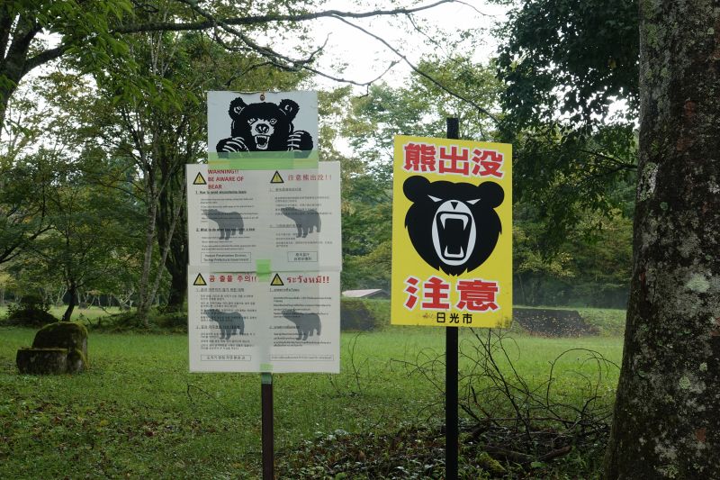 Viewing photos→2024→2024-09-19→05