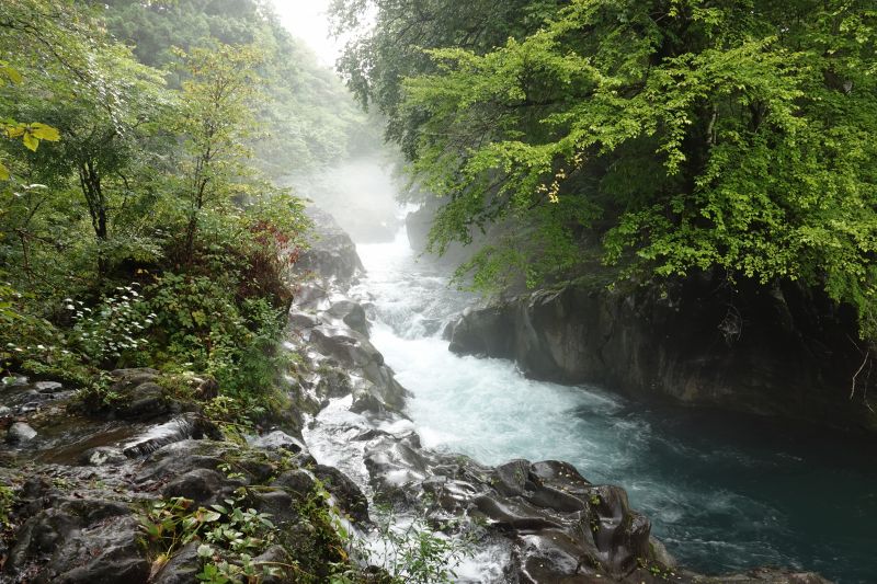 Viewing photos→2024→2024-09-19→07