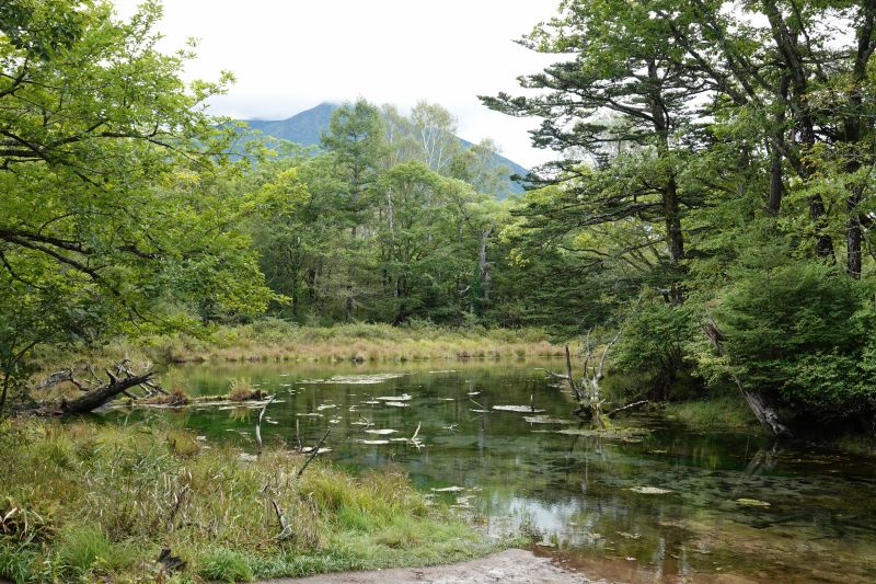 Viewing photos→2024→2024-09-19→17