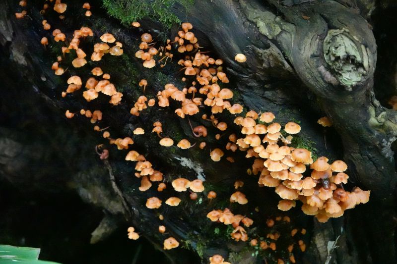 Viewing photos→2024→2024-09-19→21