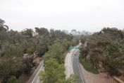 060.jpg - 2025:07:13 09:11:26