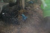 068.jpg - 2025:07:13 10:01:08