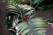 073.jpg - 2025:07:13 10:29:32