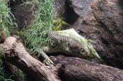076.jpg - 2025:07:13 10:48:50