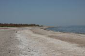 003.jpg - 2025:07:20 11:27:51