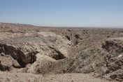 098.jpg - 2025:07:21 10:53:12
