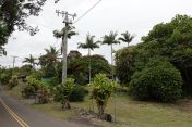 08.jpg - 2025:07:23 12:00:05
