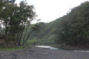 47.jpg - 2025:07:23 17:15:19
