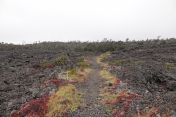 01.jpg - 2025:07:25 14:26:12