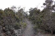 03.jpg - 2025:07:25 14:27:42