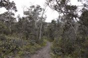 04.jpg - 2025:07:25 14:29:30