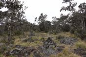 06.jpg - 2025:07:25 14:38:56