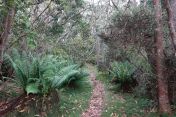 08.jpg - 2025:07:25 14:47:51