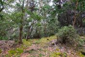 09.jpg - 2025:07:25 14:50:01