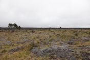 10.jpg - 2025:07:25 14:51:34