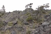 19.jpg - 2025:07:25 15:03:51