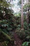15.jpg - 2025:07:27 18:48:19
