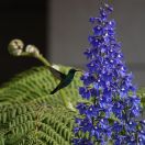 05.jpeg - 2025:10:15 21:42:07