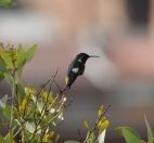 06.jpeg - 2025:10:15 21:51:14