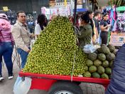 13.jpg - 2025:10:19 13:33:56