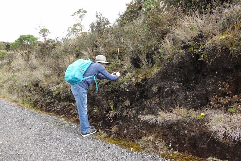 Viewing photos→2025→2025-10-20→06