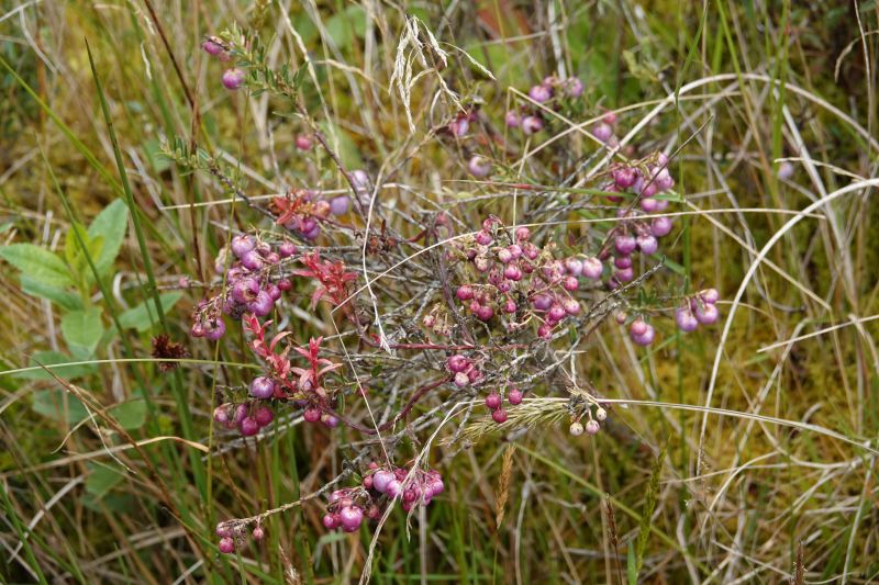 Viewing photos→2025→2025-10-20→08