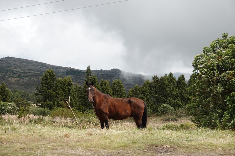 Viewing photos→2025→2025-10-20→11