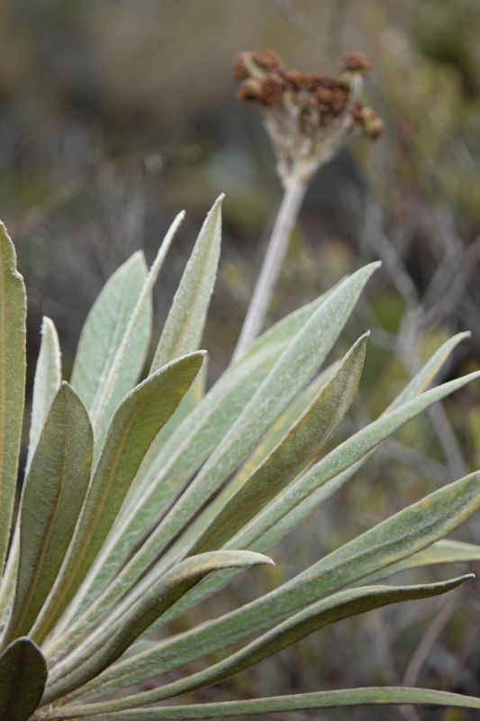 Viewing photos→2025→2025-10-20→15