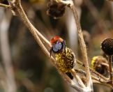 24.jpeg - 2025:10:20 11:43:56