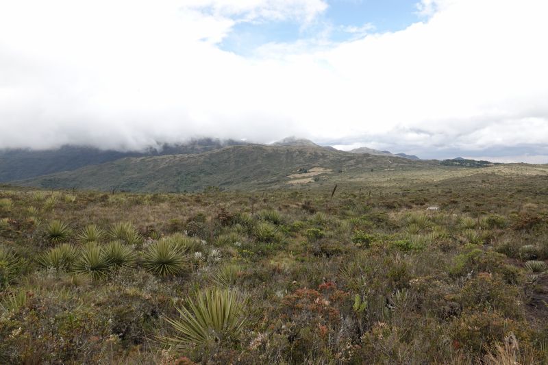 Viewing photos→2025→2025-10-20→25