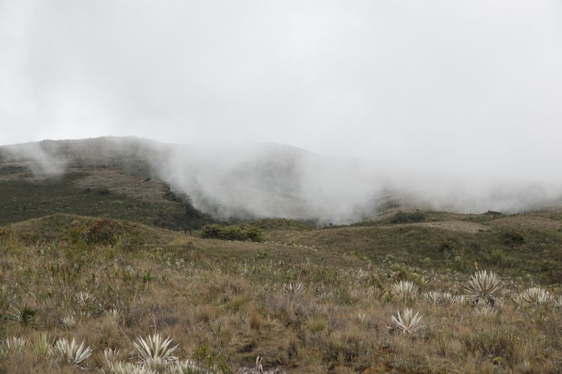 Viewing photos→2025→2025-10-20→26