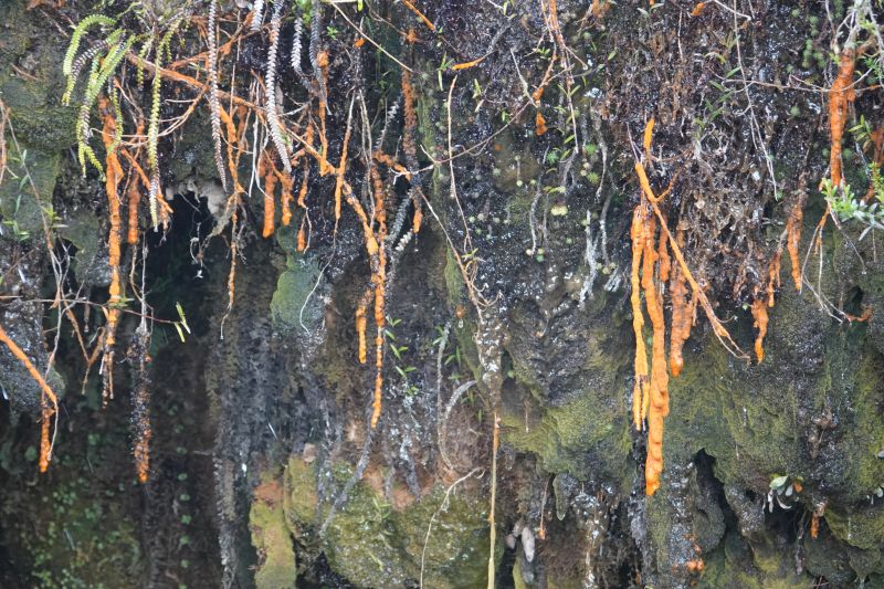 Viewing photos→2025→2025-10-20→31