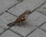 022.jpeg - 2025:10:26 10:23:53