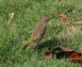 062.jpeg - 2025:10:26 14:23:47