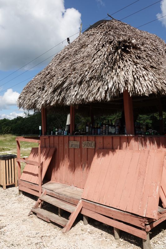 Viewing photos→2025→2025-10-27→002