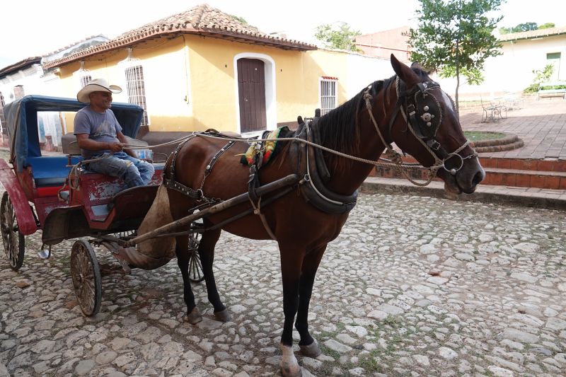 Viewing photos→2025→2025-10-27→045