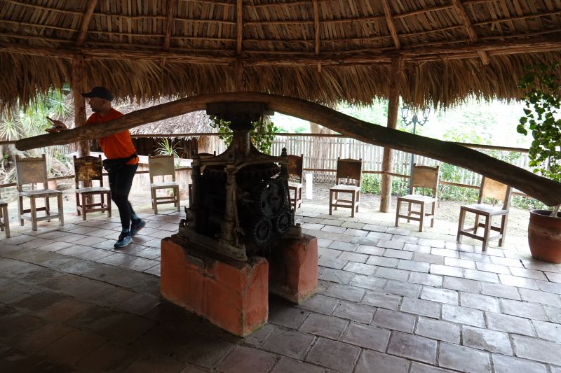 Viewing photos→2025→2025-10-27→064