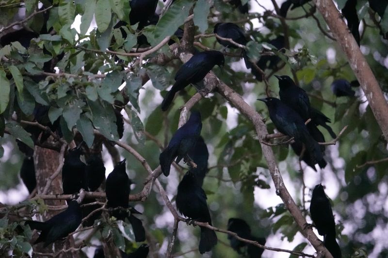 Viewing photos→2025→2025-10-27→098