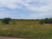 104.jpg - 2025:10:30 10:47:44