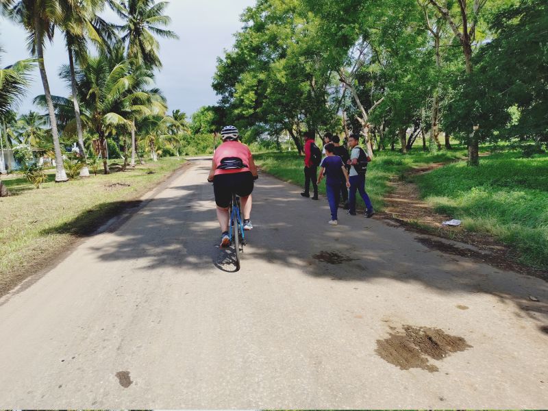 Viewing photos→2025→2025-10-27→105