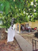 115.jpg - 2025:10:31 15:00:26