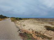 126.jpg - 2025:11:01 08:11:26