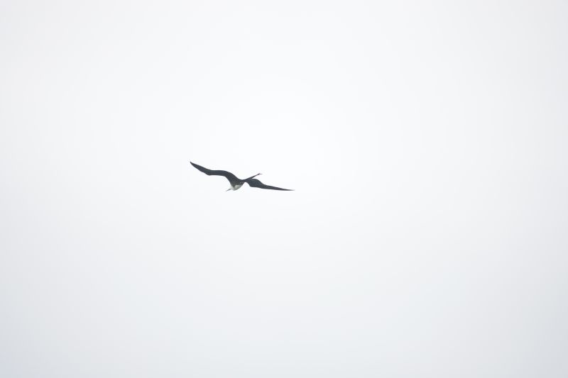 Viewing photos→2025→2025-10-27→127