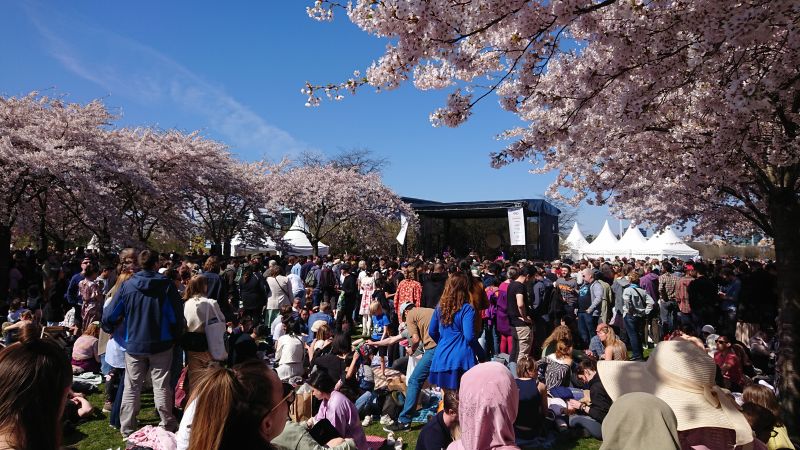 Viewing photos→Misc→2023→016