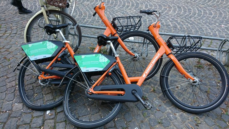 Viewing photos→Misc→2023→056